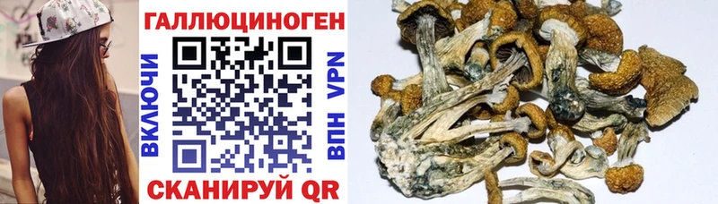 как найти закладки  Жирновск  Галлюциногенные грибы мухоморы 