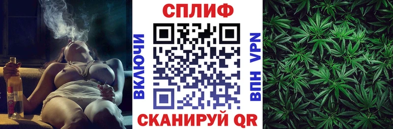 Бошки марихуана сатива  сайты даркнета официальный сайт  Жирновск  omg  